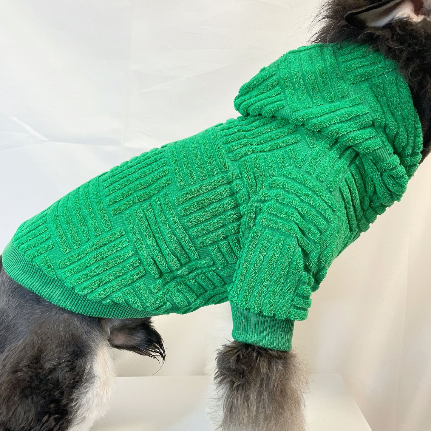 Pet Clothes Green Terry Sweater Hoodie Fashion