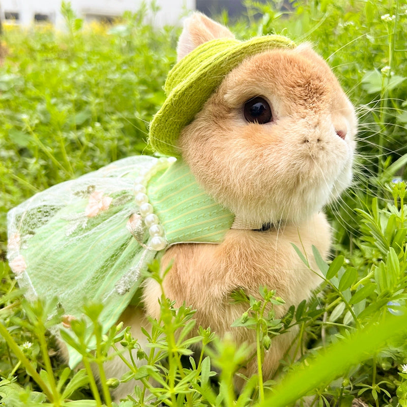 Vintage Green Princess Skirt Hand Holding Rope Pet Rabbit