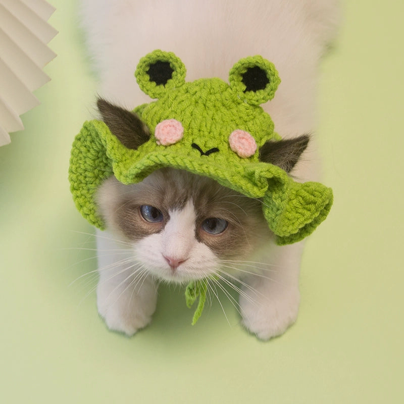 Young Pet Hat Headgear Cat Casual