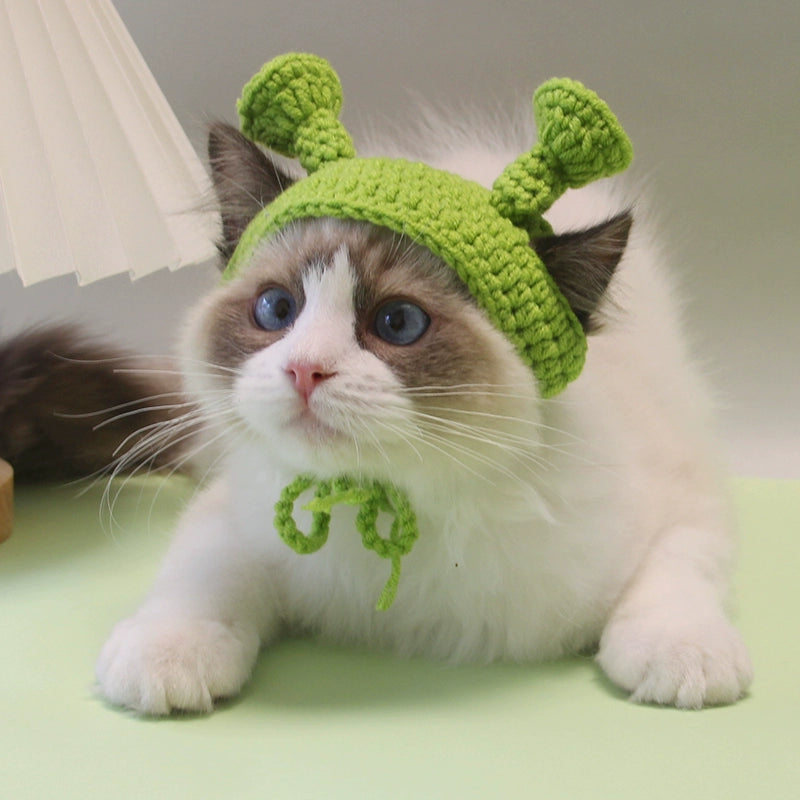 Young Pet Hat Headgear Cat Casual