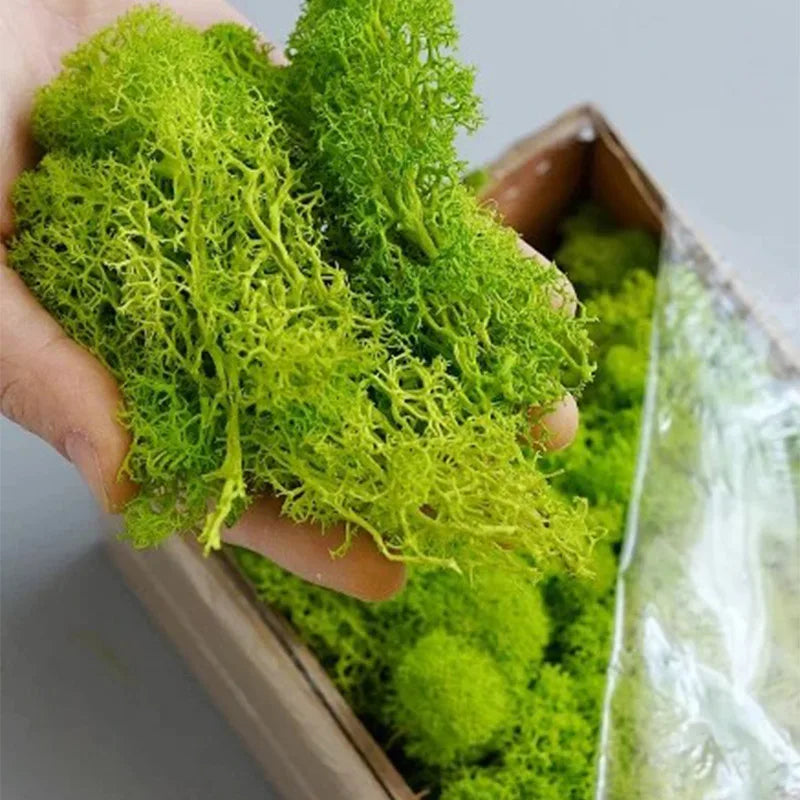 20g/200g Natural Green Colored Moss Simulation Plants Eternal Life Moss Garden Home Decor Wall Mini Garden Micro Landscape Acce